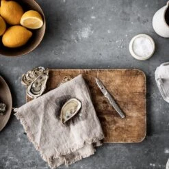 Global GSF GSF-18 Shellfish Knife 5cm 12 Global GSF GSF-18 Shellfish Knife 5cm -Edge Knife Pro Store global gsf gsf 18 shellfish knife 5cm p545 12367 image